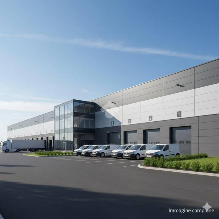 immagine annuncio 1 di 7