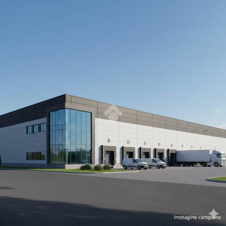 immagine annuncio 3 di 7