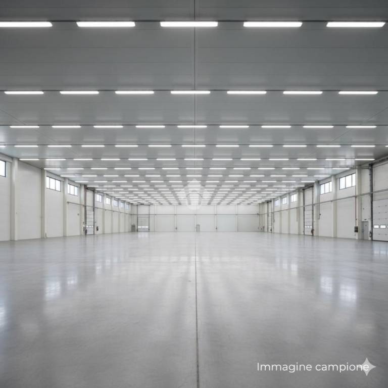 immagine annuncio 5 di 7