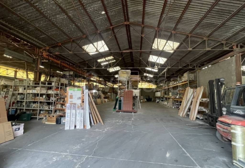 immagine annuncio 10 di 15