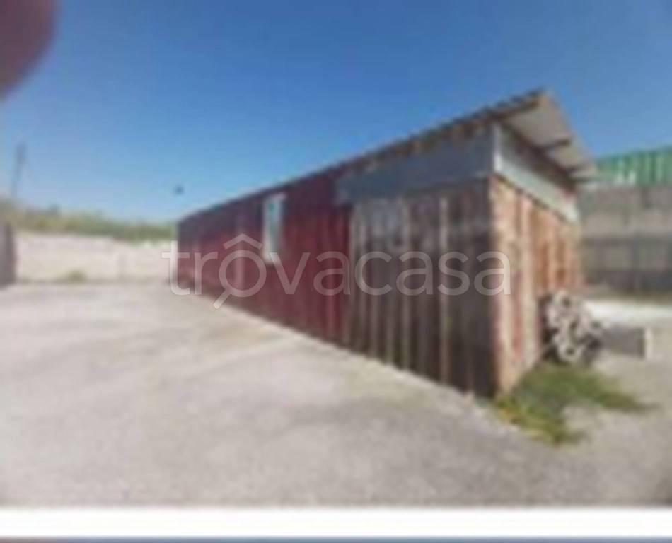 immagine annuncio 5 di 11