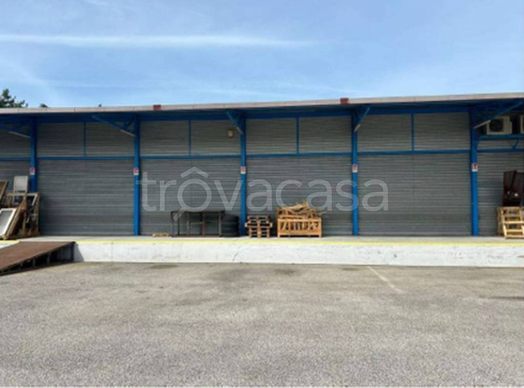 immagine annuncio 9 di 11