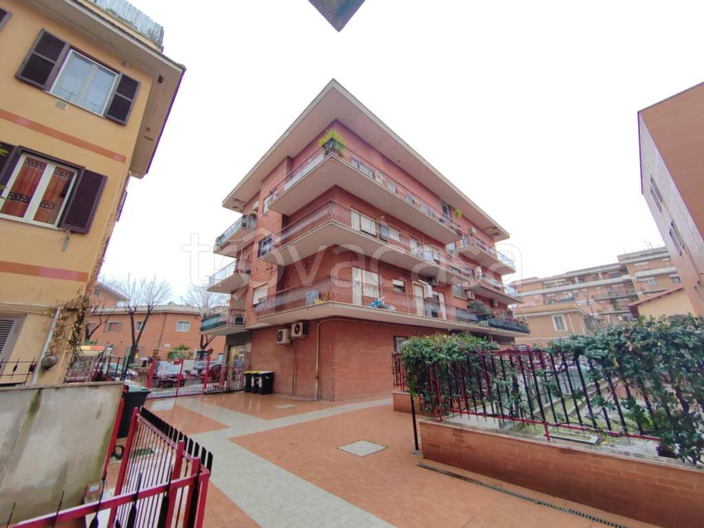 immagine annuncio 1 di 11