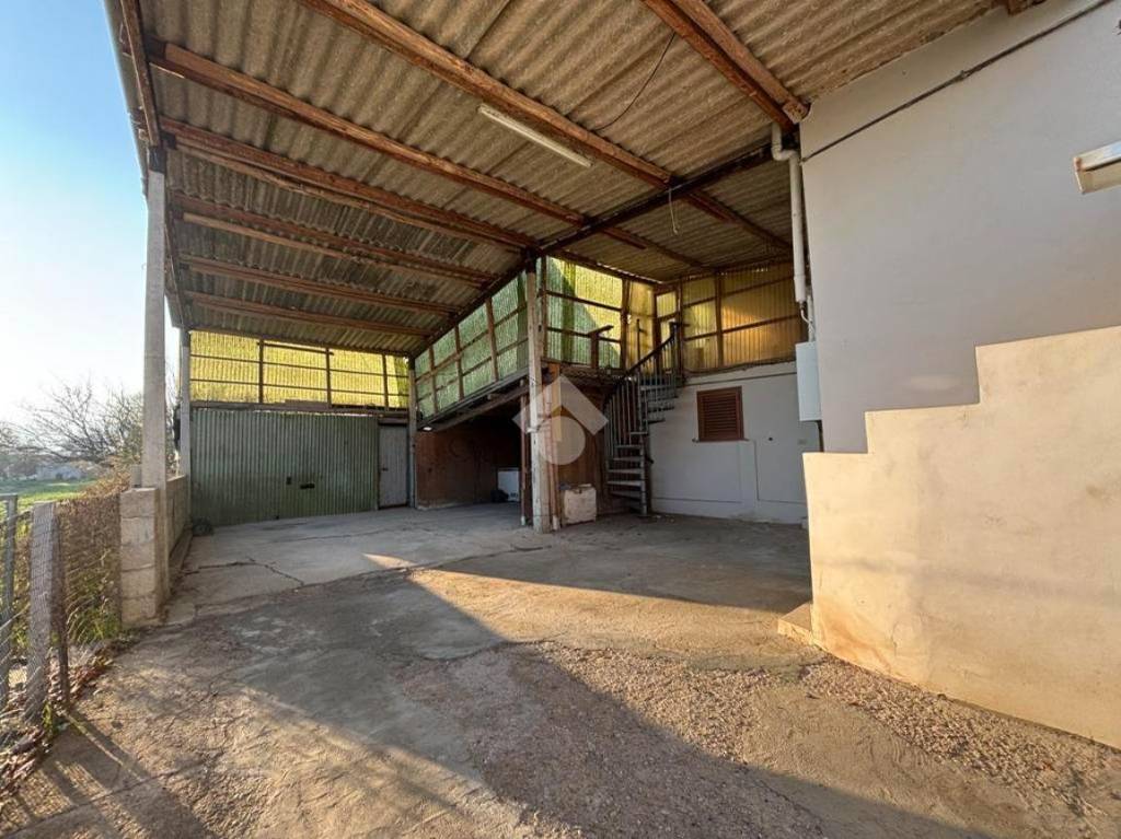 immagine annuncio 11 di 15