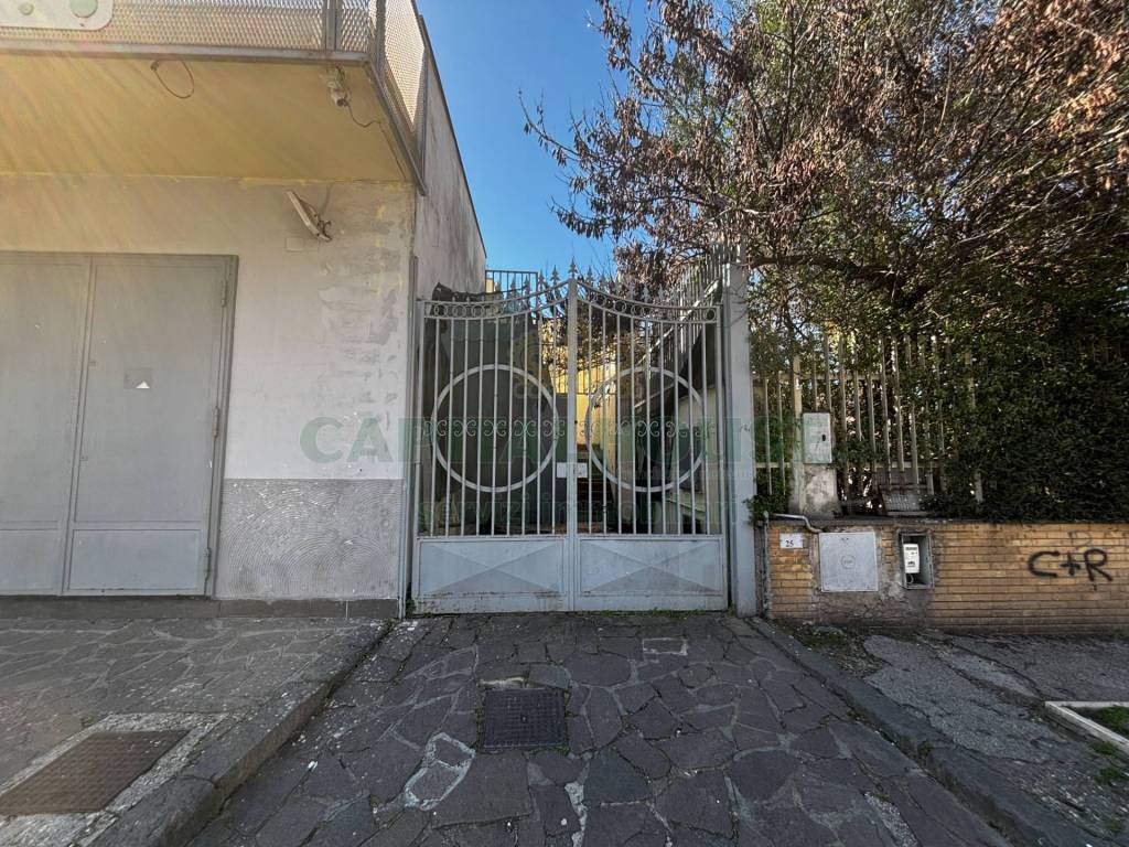 immagine annuncio 10 di 13