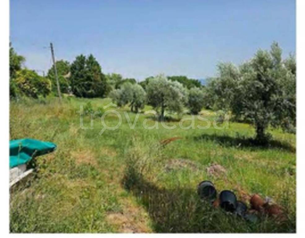 immagine annuncio 8 di 11