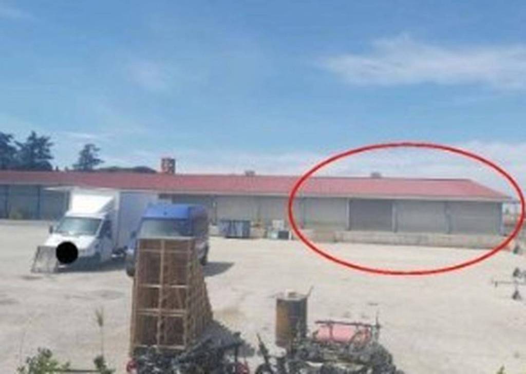 immagine annuncio 2 di 10