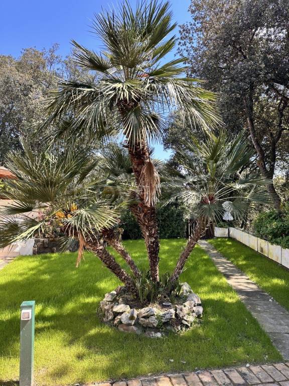 immagine annuncio 2 di 4