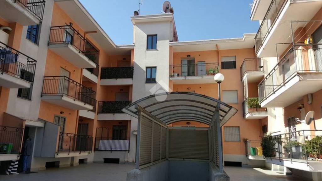 immagine annuncio 2 di 12