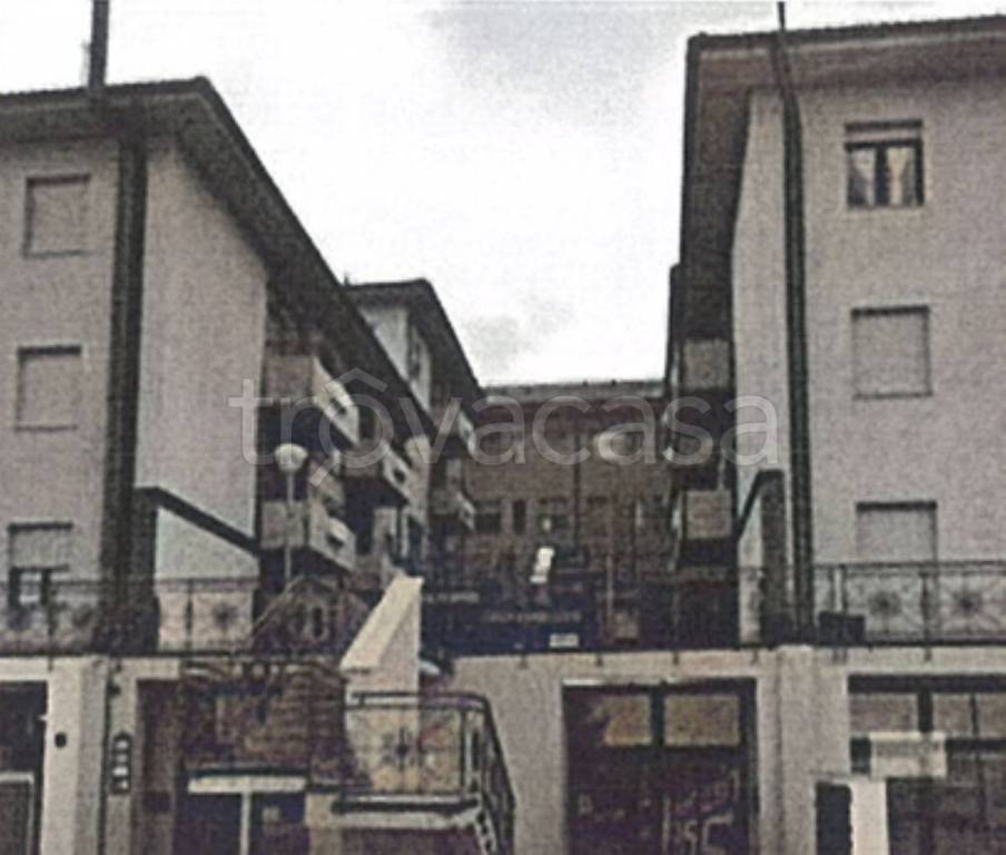 immagine annuncio 5 di 14