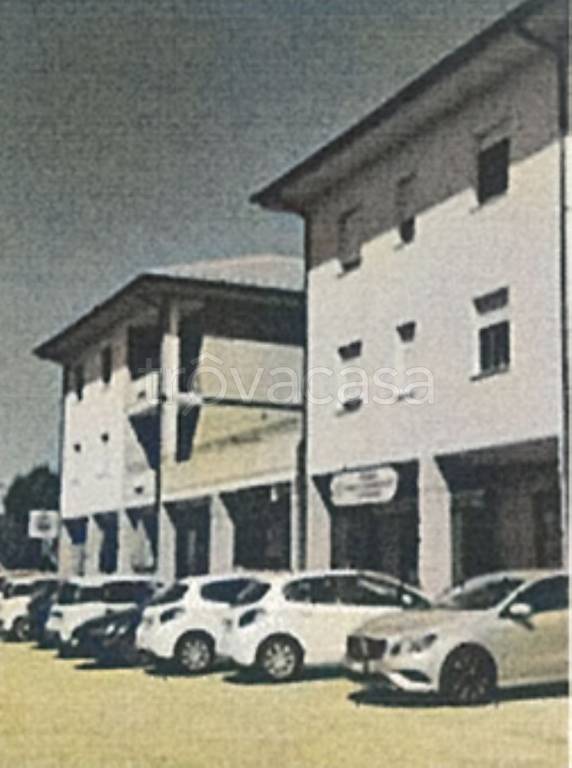 immagine annuncio 6 di 14