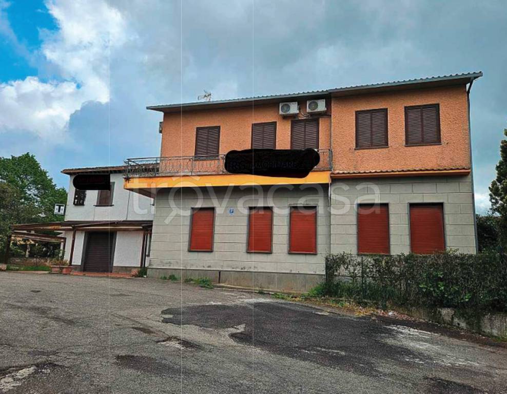 immagine annuncio 7 di 14