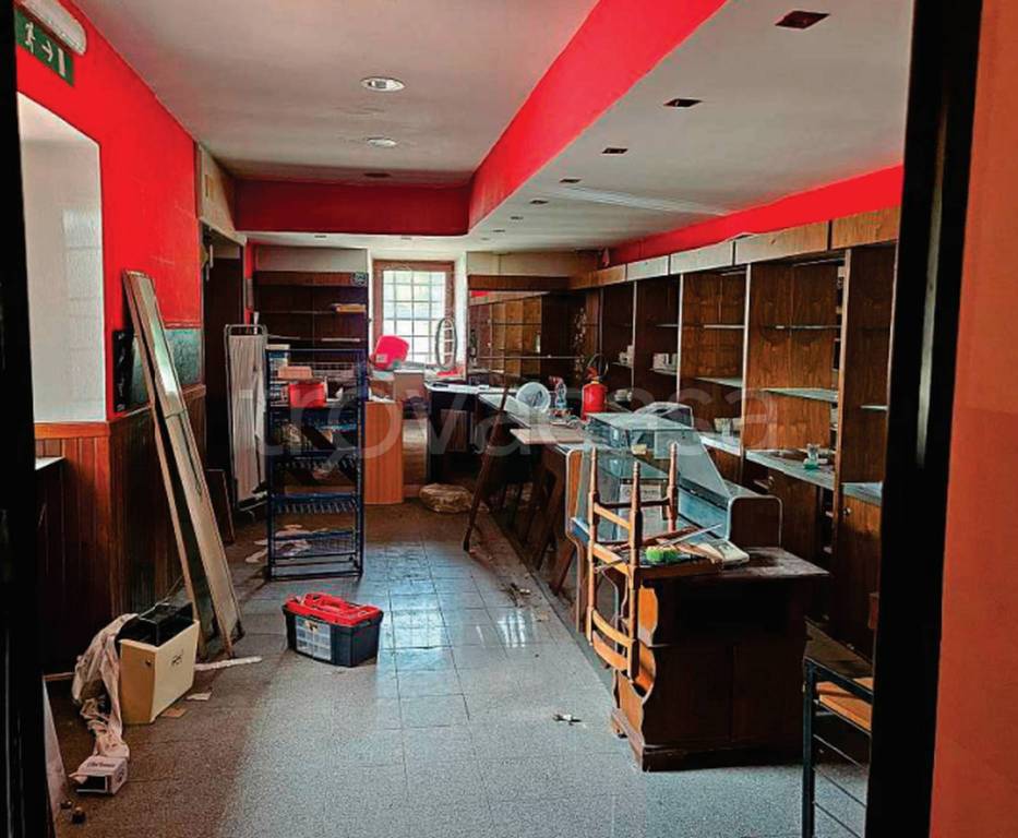 immagine annuncio 9 di 14