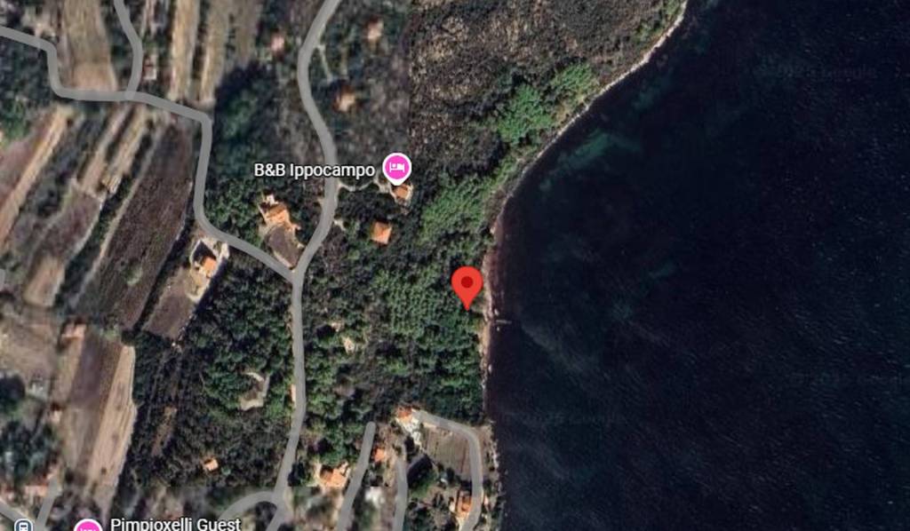 immagine annuncio 6 di 11