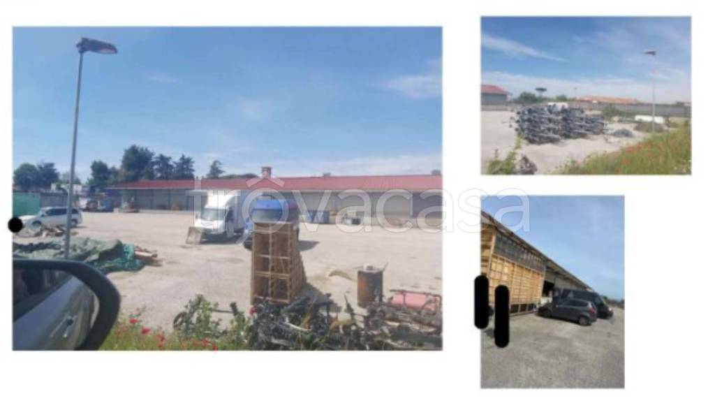 immagine annuncio 3 di 12