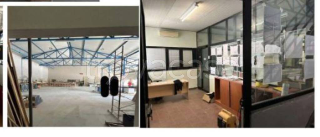 immagine annuncio 4 di 12