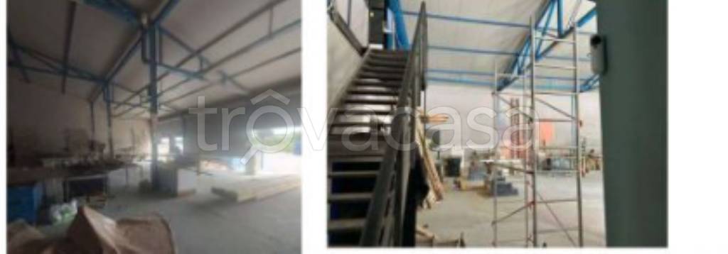 immagine annuncio 5 di 12