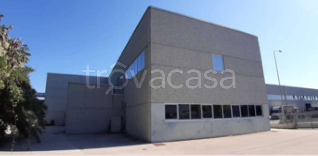 immagine annuncio 1 di 12