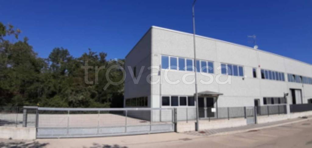 immagine annuncio 2 di 12