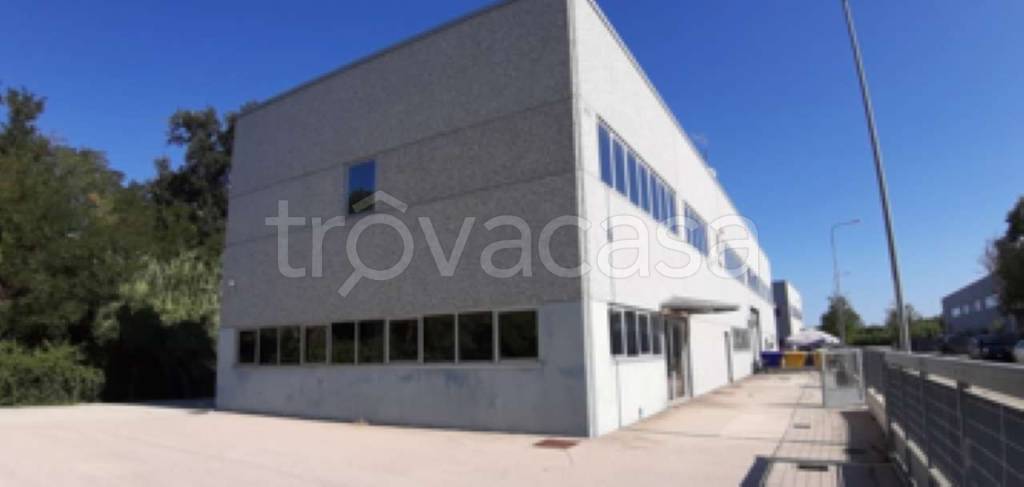 immagine annuncio 3 di 12