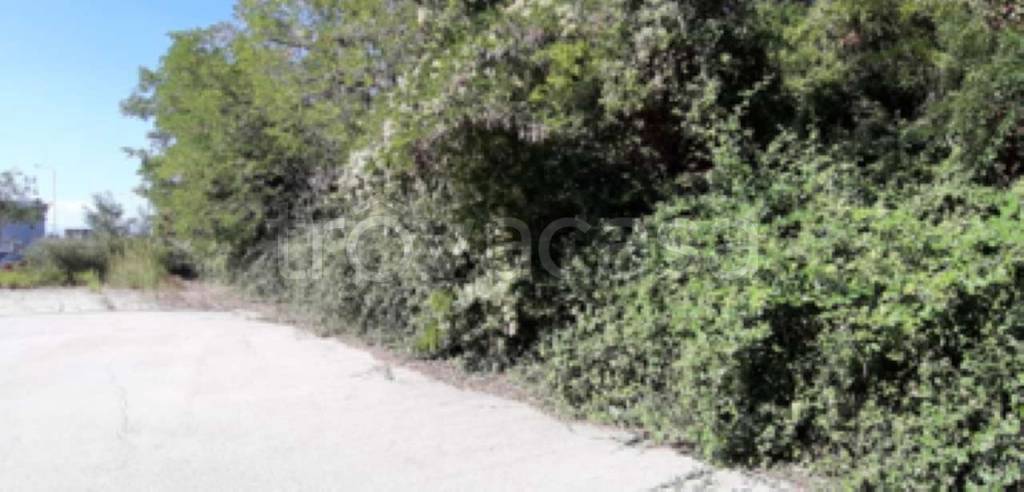 immagine annuncio 4 di 12