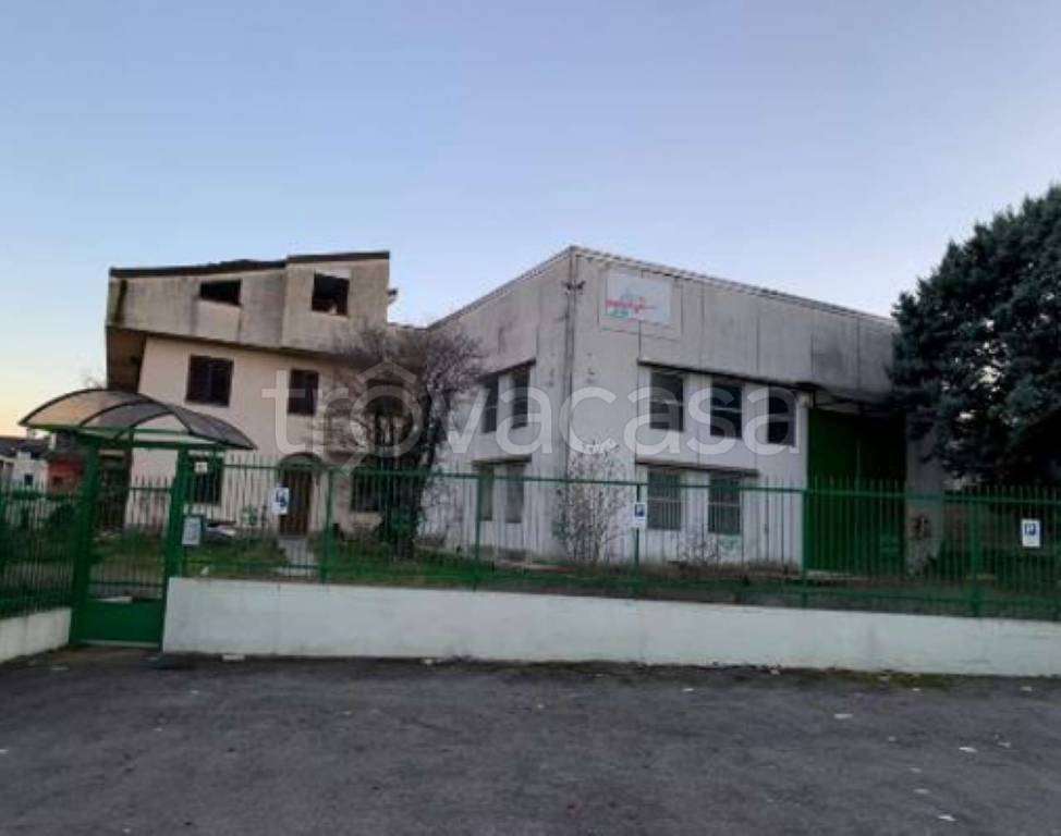 immagine annuncio 1 di 11