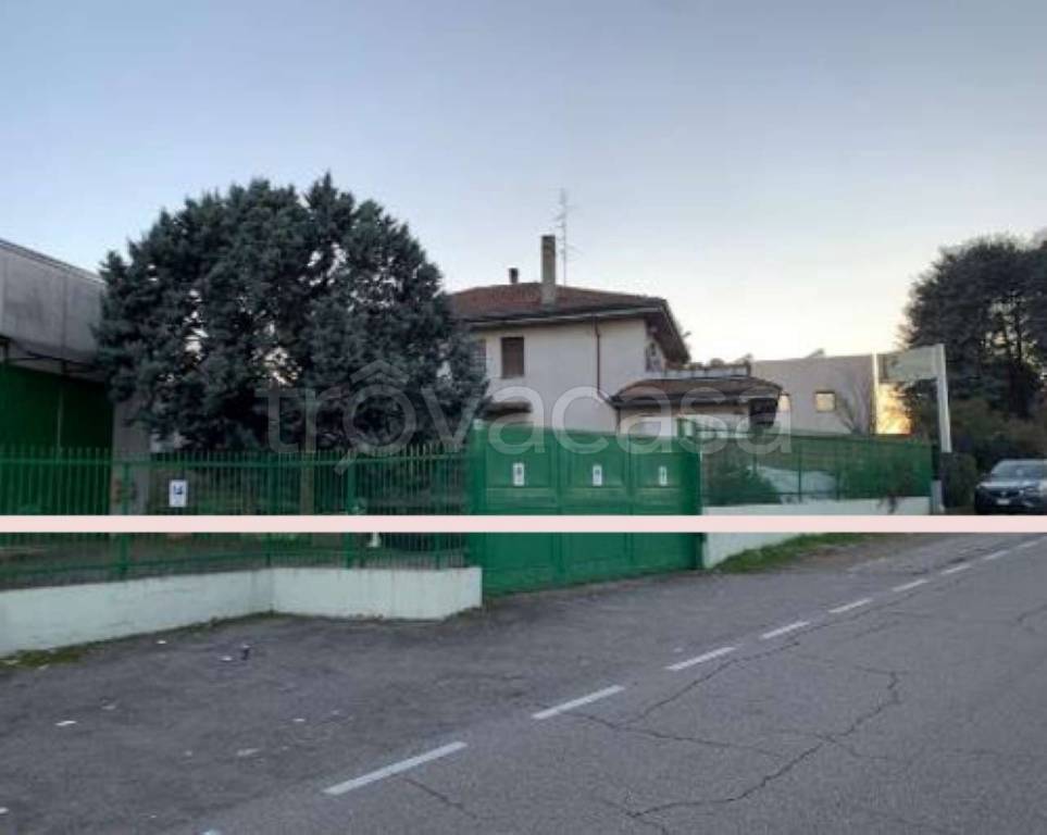 immagine annuncio 2 di 11