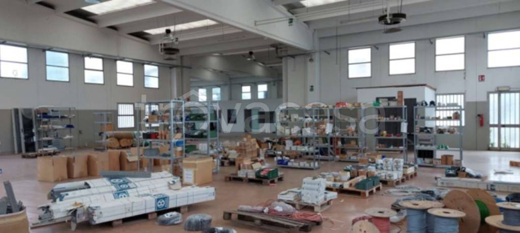 immagine annuncio 5 di 11