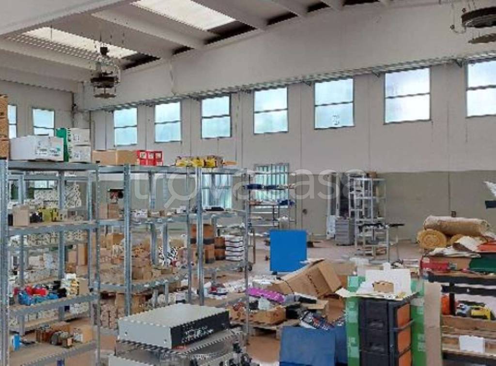 immagine annuncio 6 di 11