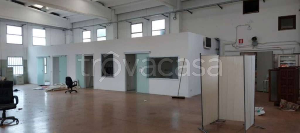 immagine annuncio 9 di 11