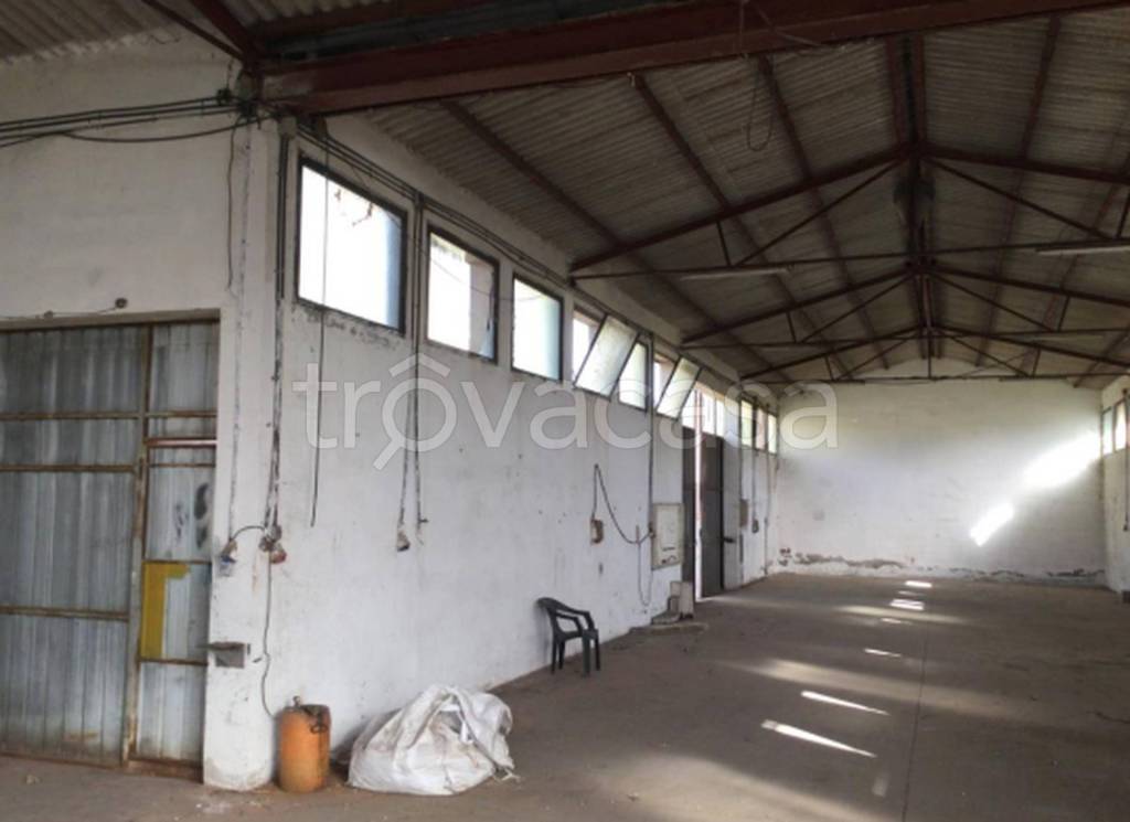 immagine annuncio 5 di 11