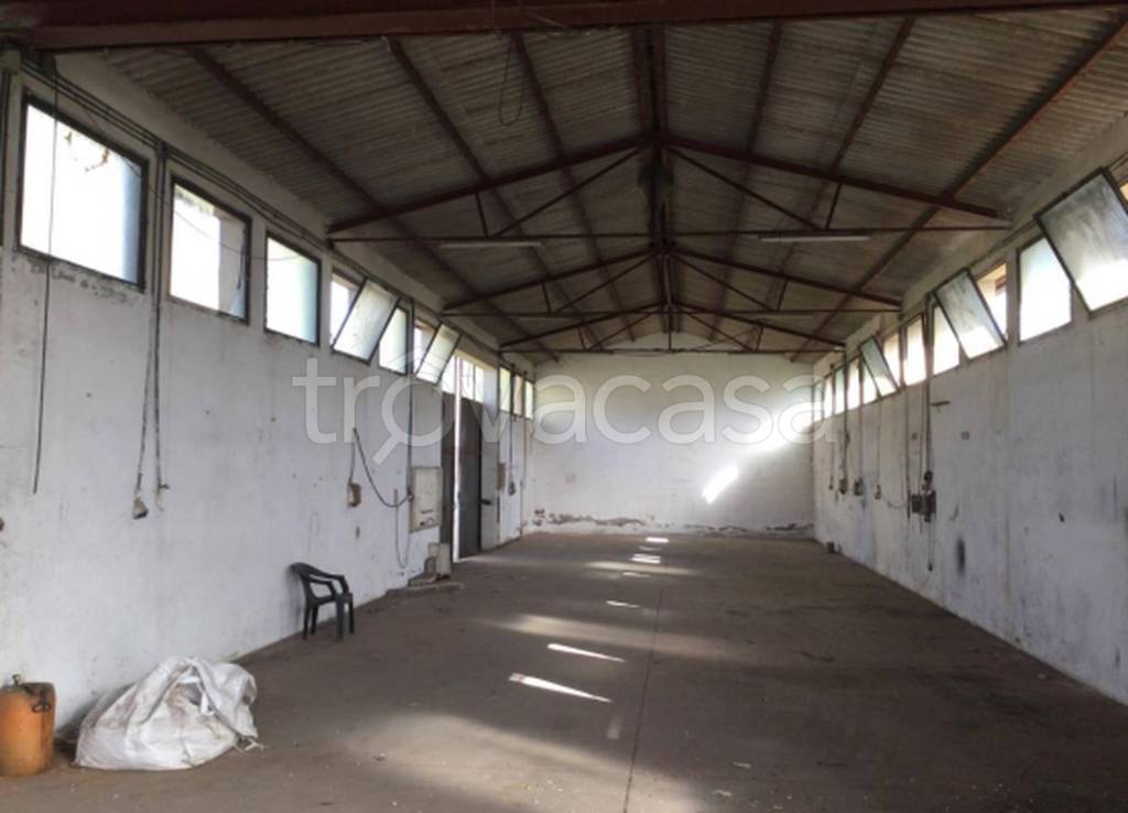 immagine annuncio 6 di 11