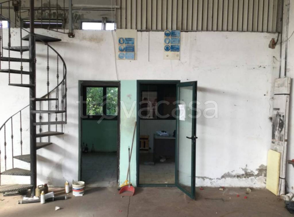 immagine annuncio 7 di 11