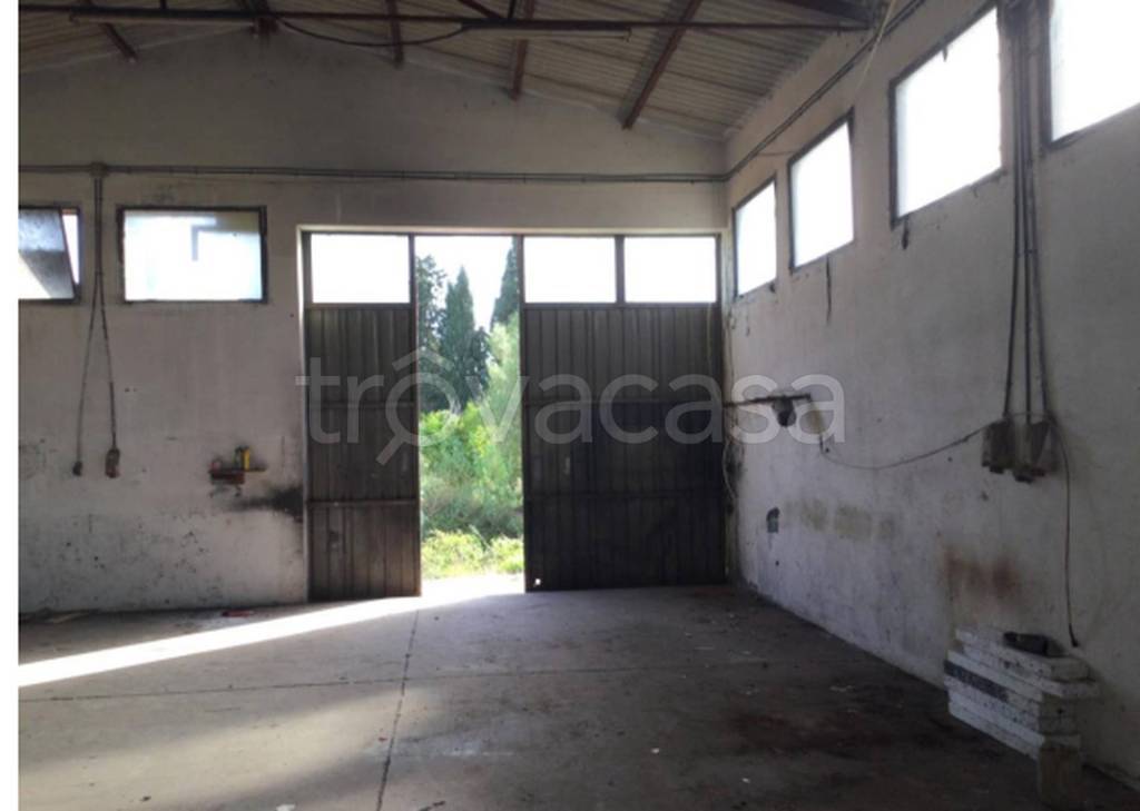 immagine annuncio 8 di 11