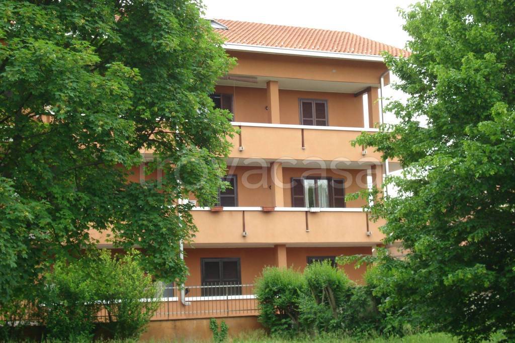 immagine annuncio 1 di 12