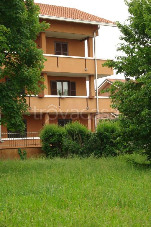 immagine annuncio 2 di 12