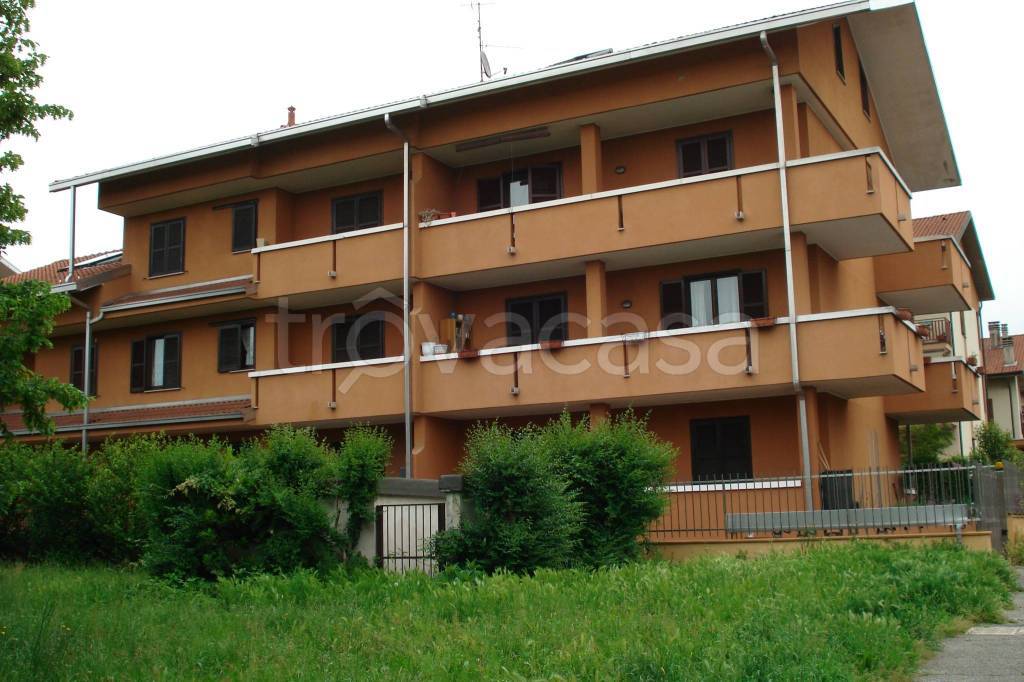 immagine annuncio 3 di 12