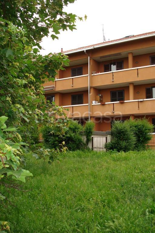 immagine annuncio 4 di 12