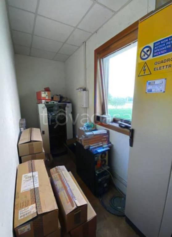 immagine annuncio 5 di 13