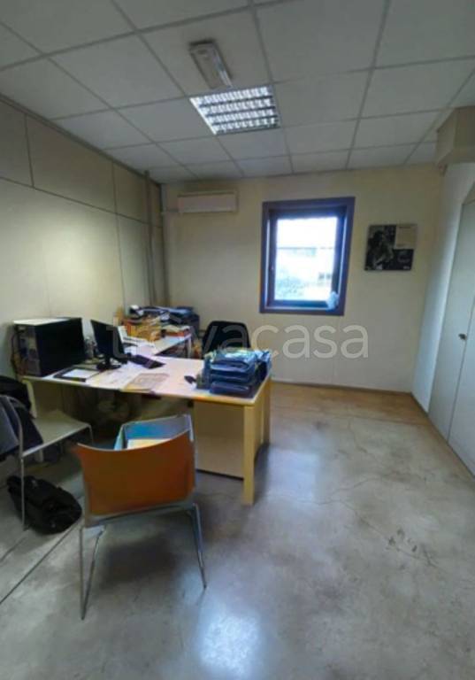 immagine annuncio 7 di 13