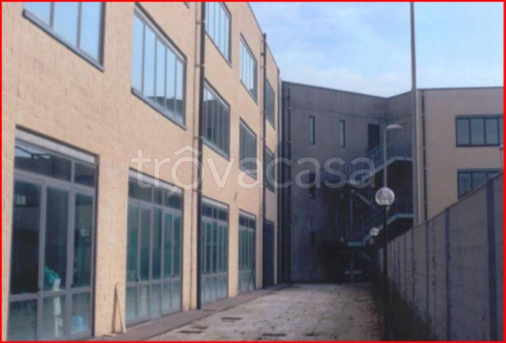 immagine annuncio 5 di 11