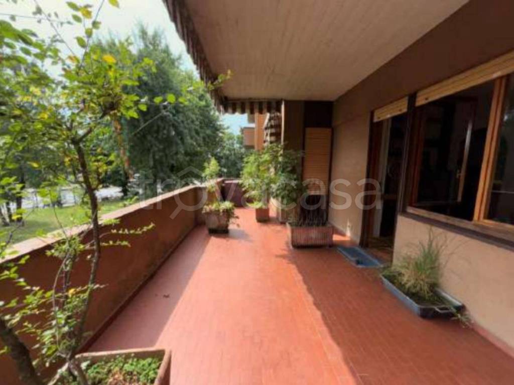 immagine annuncio 3 di 14