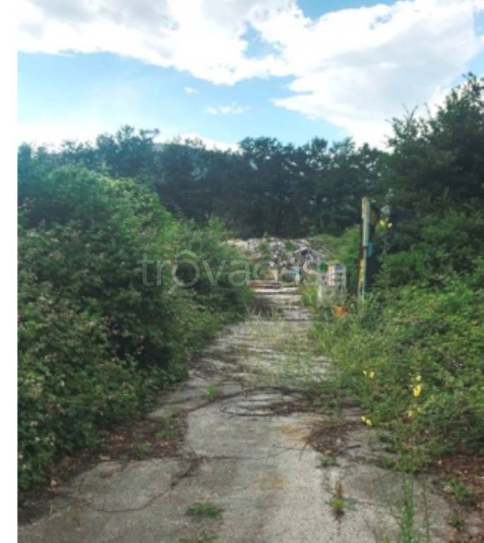 immagine annuncio 4 di 10