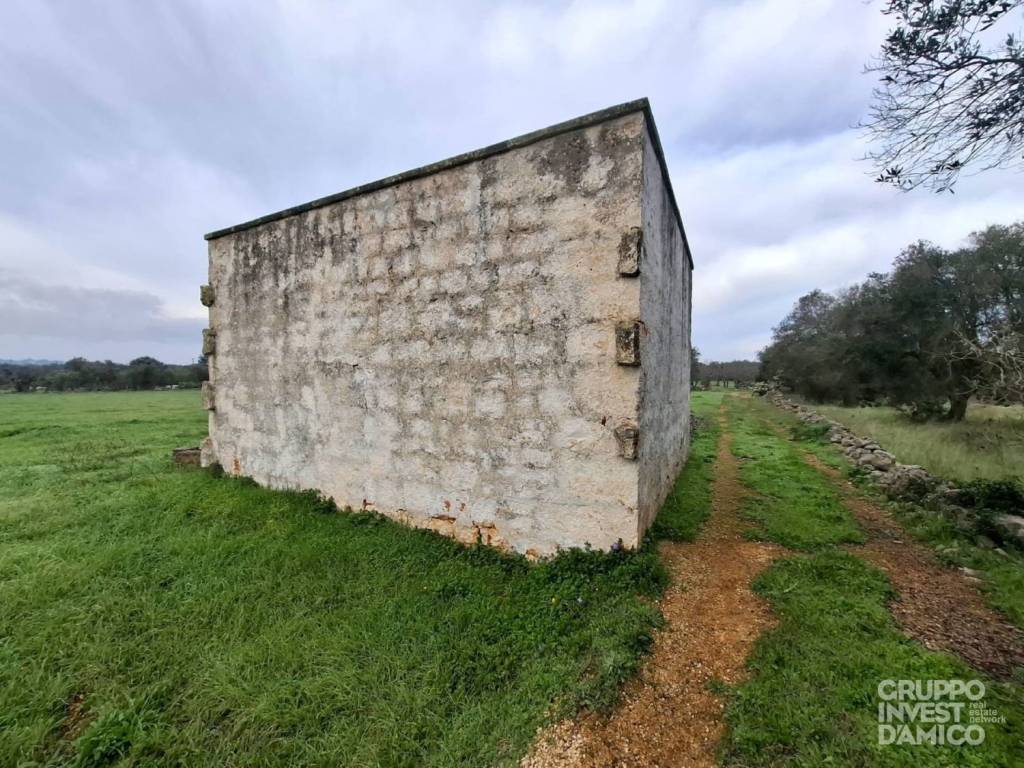 immagine annuncio 1 di 6