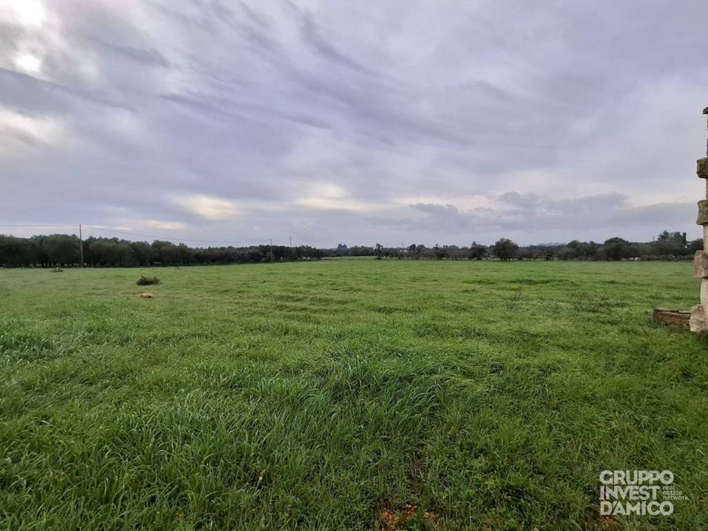 immagine annuncio 4 di 6