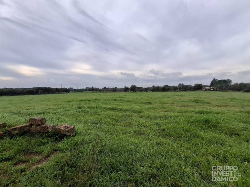 immagine annuncio 5 di 6