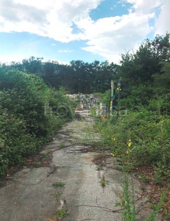 immagine annuncio 4 di 13