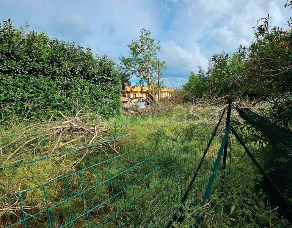 immagine annuncio 8 di 13