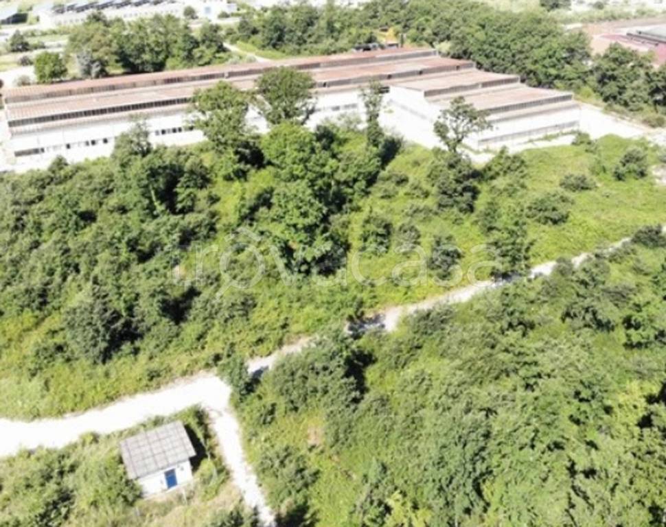 immagine annuncio 11 di 13