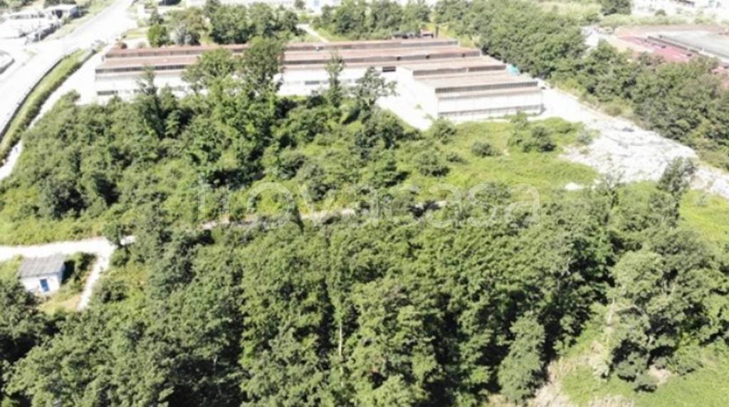 immagine annuncio 12 di 13